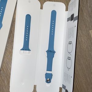 Apple Northern Blue Sport Band